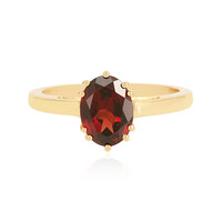 Mozambique Garnet Silver Ring