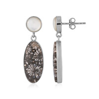 Petrified Coral Silver Earrings (Bali Barong)