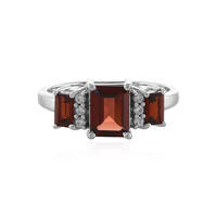 Mozambique Garnet Silver Ring