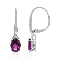 14K Rhodolite Gold Earrings (CIRARI)