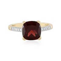 14K Mozambique Garnet Gold Ring (SUHANA)