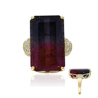 14K Bi Colour Tourmaline Gold Ring (AMAYANI)