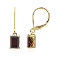 Garnet Silver Earrings