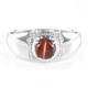 Cat´s Eye Scapolite Silver Ring