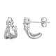 Zircon Silver Earrings