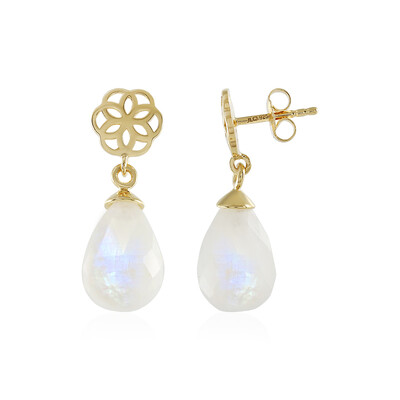 Rainbow Moonstone Silver Earrings