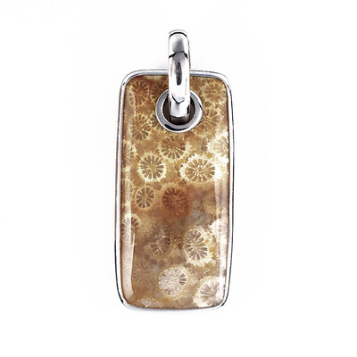 Petrified Coral Silver Pendant