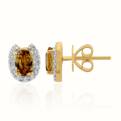 9K Yellow Kings Plains Zircon Gold Earrings