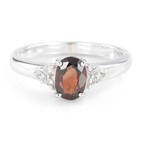 Chocolate Zircon Silver Ring