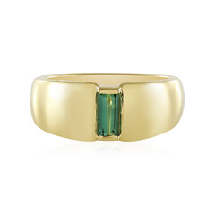 Benedito Green Tourmaline Silver Ring(Adela Silber)