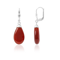 Carnelian Silver Earrings (CUSTODANA)