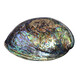 Accessory with Abalone Shell