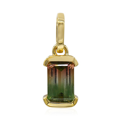 9K Bi Colour Tourmaline Gold Pendant