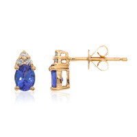 10K AAA Tanzanite Gold Earrings