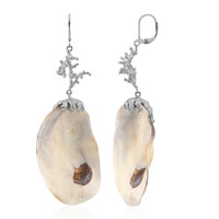 Shell Silver Earrings (TPC)