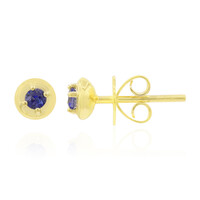 9K Dumortierite Gold Earrings