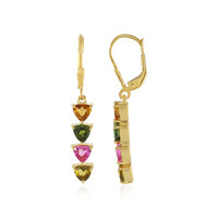 Fancy Tourmaline Silver Earrings