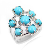 Sleeping Beauty Turquoise Silver Ring (Anne Bever)