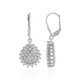 Zircon Silver Earrings