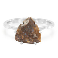 Dinosaur Bone Silver Ring