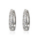 Zircon Silver Earrings