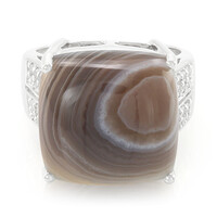 Botswana Agate Silver Ring