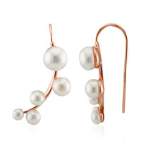 White Freshwater Pearl Silver Earrings (TPC)