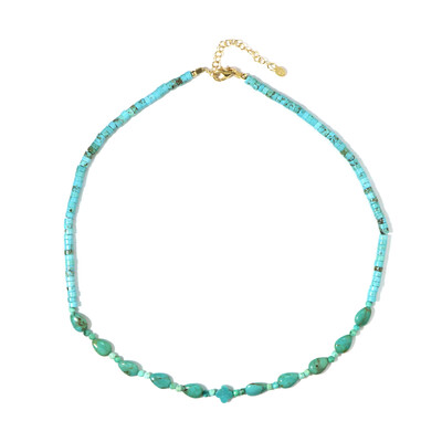 Turquoise Silver Necklace (Riya)