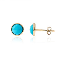 9K Sleeping Beauty Turquoise Gold Earrings