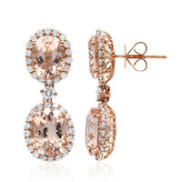 18K AAA Morganite Gold Earrings (CIRARI)