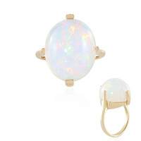 14K Welo Opal Gold Ring (AMAYANI)