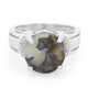 Dinosaur Bone Silver Ring