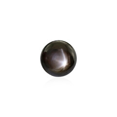 Black Star Sapphire other gemstone 4.5 ct