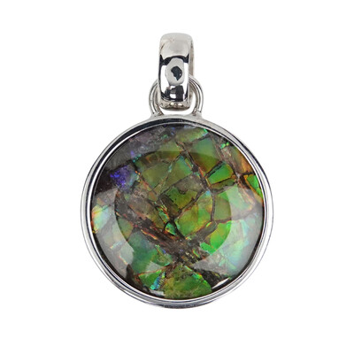 Ammolite Silver Pendant