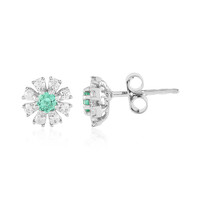 Colombian Emerald Silver Earrings