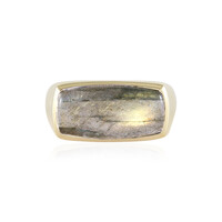 Golden maniry labradorite Silver Ring (KM by Juwelo)