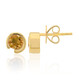 9K Yellow Kings Plains Zircon Gold Earrings