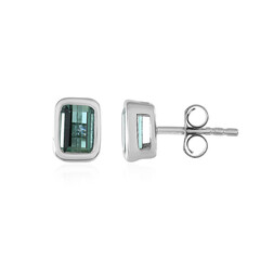 Benedito Green Tourmaline Silver Earrings(Adela Silber)