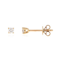 14K I1 (H) Diamond Gold Earrings (CIRARI)