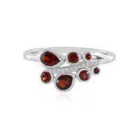 Mozambique Garnet Silver Ring