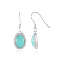 Amazonite Silver Earrings