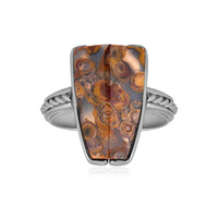 Petrified Palm Wood Silver Ring (Bali Barong)