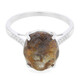 Dinosaur Bone Silver Ring