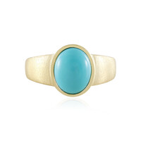 Sleeping Beauty Turquoise Silver Ring