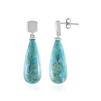 Turquoise Silver Earrings