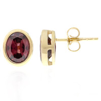 9K Red Zircon Gold Earrings (CUSTODANA)