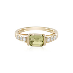 14K Brazilian Tourmaline Gold Ring (AMAYANI)