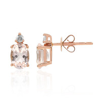 14K AAA Morganite Gold Earrings (CIRARI)