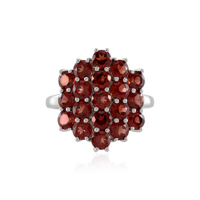 Mozambique Garnet Silver Ring