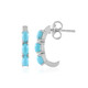 Sleeping Beauty Turquoise Silver Earrings